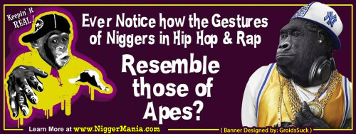 NM-Banner_191_Rap-Gestures-look-Like-Apes_jpg83c521405ddc7190.jpeg