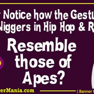 NM-Banner_191_Rap-Gestures-look-Like-Apes_jpg83c521405ddc7190