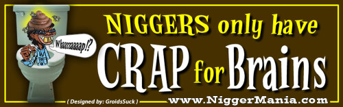 NM-Banner_223_Nigs-have-CRAP-for-Brains_jpg6dbbc4ef6566be7b.jpeg