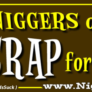 NM-Banner_223_Nigs-have-CRAP-for-Brains_jpg6dbbc4ef6566be7b