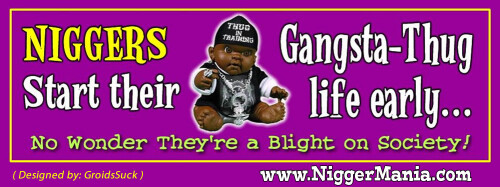 NM-Banner_231_Nigs-Start-Thug-Life-Early_jpg3383c72377e4c07e.jpeg