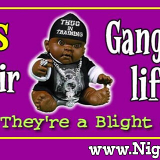 NM-Banner_231_Nigs-Start-Thug-Life-Early_jpg3383c72377e4c07e