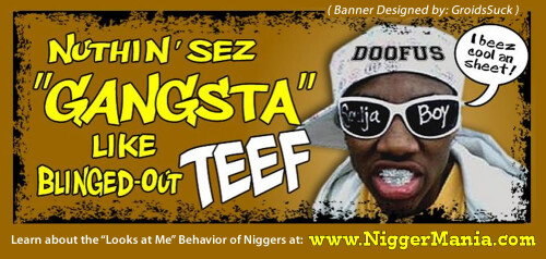 NM-Banner_232_Nothin-Sez-GANGSTA-Like-Blinged-Out-Teef_jpg4aec9fb9898e4ad9.jpeg