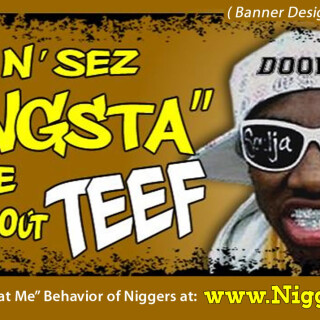 NM-Banner_232_Nothin-Sez-GANGSTA-Like-Blinged-Out-Teef_jpg4aec9fb9898e4ad9