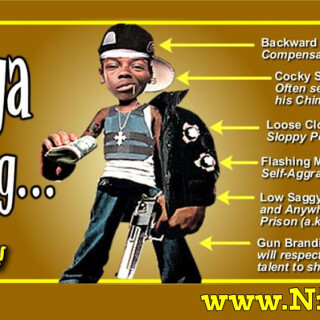 NM-Banner_233_Teen-Gangsta-Thug-Anatomy_jpgdf3a22a9e7826ae2