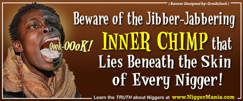 NM-Banner_236_Beware-of-the-INNER-CHIMP-inside-Every-Nig_jpg6f0f9cd75e115184.jpeg