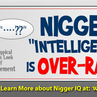 NM-Banner_237_Nig-Intelligence-is-Over-Rated_jpga31e01c671b84565