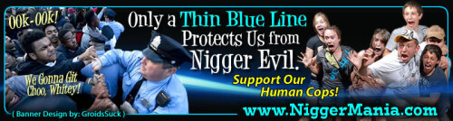 NM-Banner_293_The-Thin-Blue-Line-that-Protect-Us-from-Nig-Mobs_jpg_jpg24e53394fefe95b6.jpeg