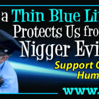 NM-Banner_293_The-Thin-Blue-Line-that-Protect-Us-from-Nig-Mobs_jpg_jpg24e53394fefe95b6