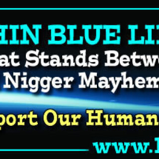 NM-Banner_294_The-Thin-Blue-Line---All-that-Stands-between-Us-and-Nigs_jpg_jpg64084a5fe28a7da7