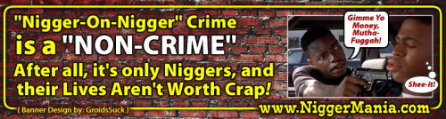 NM-Banner_300_Nig-on-Nig-Crime-is-a-NON-CRIME_jpg_jpg77c2c756bc6cea49.jpeg