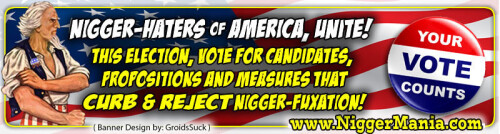 NM-Banner_304_Take-America-Back-from-the-Nigs--Your-Vote-Counts_jpg_jpg4add128b3c69777b.jpeg