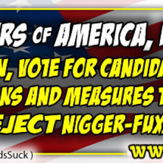 NM-Banner_304_Take-America-Back-from-the-Nigs--Your-Vote-Counts_jpg_jpg4add128b3c69777b