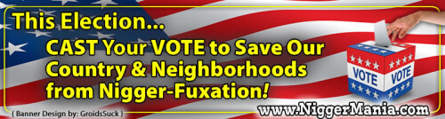 NM-Banner_306_Cast-Your-Vote-to-Curb-Nigfuxation_jpg_jpgf1c3528198f9fe63.jpeg