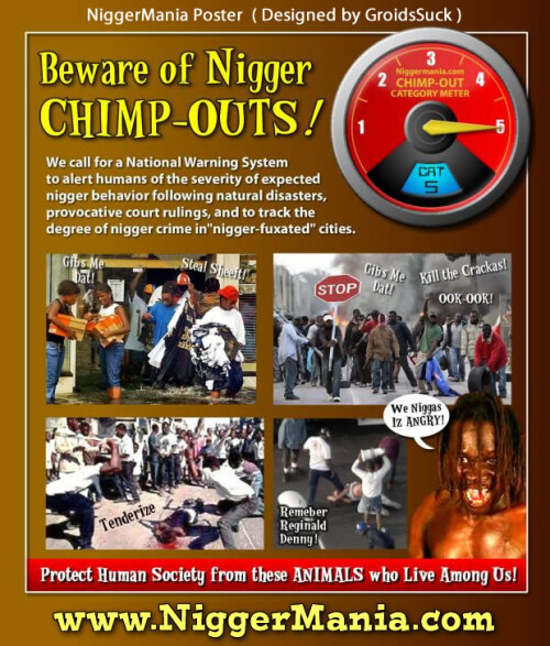 NM-POSTER_004_Beware-of-CHIMPOUTS_Chimpout-Category-Meter_jpgf836250be43ebac3.jpeg