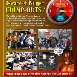 NM-POSTER_004_Beware-of-CHIMPOUTS_Chimpout-Category-Meter_jpgf836250be43ebac3