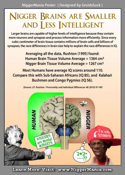 NM-POSTER_005_Brain-Sizes-of-Humans-and-Nigs_jpg37d2e161cf46c572.jpeg