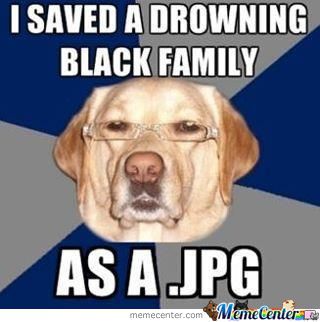 Racist-Dog-Meme-Funny-Image-Photo-Joke-05f986749b07f74e09.jpeg