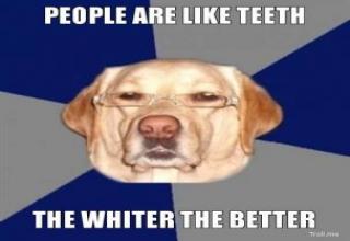 Racist-Dog-Meme-Funny-Image-Photo-Joke-11bd8f4ef36af0e8a9.jpeg