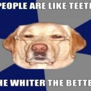 Racist-Dog-Meme-Funny-Image-Photo-Joke-11bd8f4ef36af0e8a9