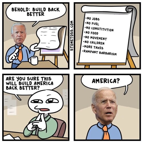 joe-biden-build-back-better707cbedbf9ffcec4.jpeg