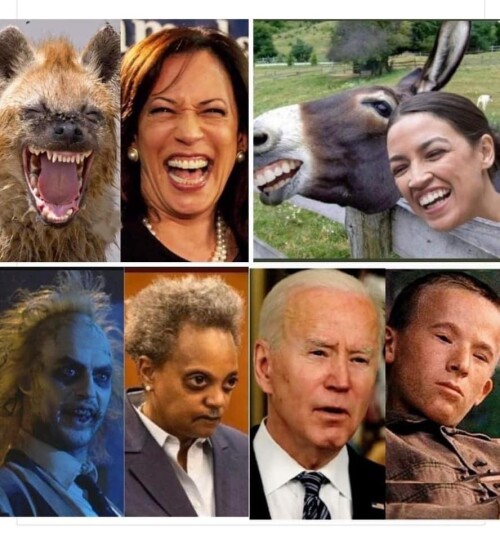 kamala-harris-aoc-lori-lightfoot-biden58d5830853d492cb.jpeg