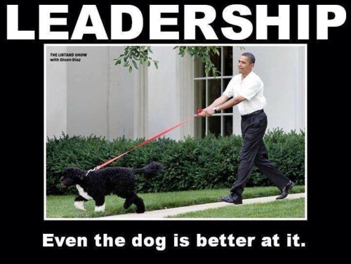 leadership-even-the-dog-is-better-at-itceeb3926832bf4b3.jpeg