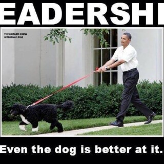 leadership-even-the-dog-is-better-at-itceeb3926832bf4b3