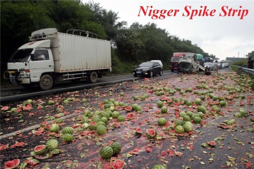 melons-truck-3ae68b48db8466610.jpeg