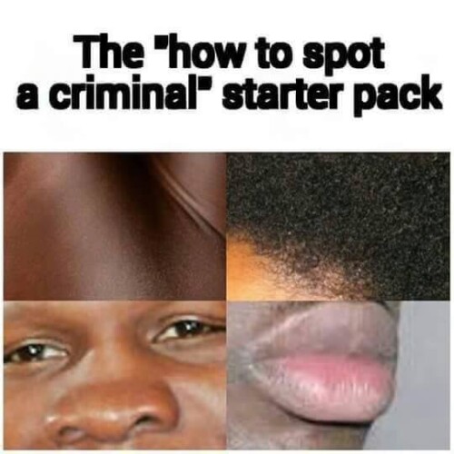 nig-spot-a-criminal-starter-pack-Spotaniggerpack5b0d9956d703b2dd.jpeg