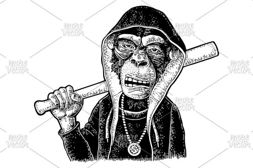 ori_3475642_7c3df85d9f2458999b0f9fbb5498f4c32adf7bb9_monkey-rapper-dressed-the-hoodie-holding-baseball-bat-engraving2f403917a632cc04.jpeg