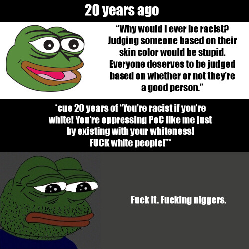 pepe-on-niggs71cd40782dcd0f14.jpeg