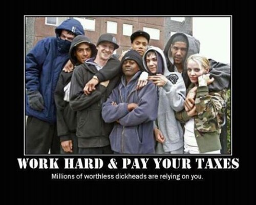 work-hard-pay-taxes4757ca16d25f94b8.jpeg