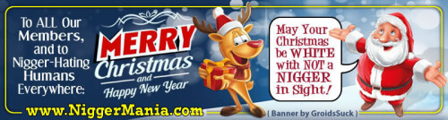 xmasbanner13_jpg_jpg3774b9c84148e9d1.jpeg