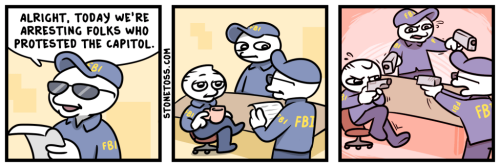 fbi-capitol-protest-stonetoss-comic3dac156f253498a3.png