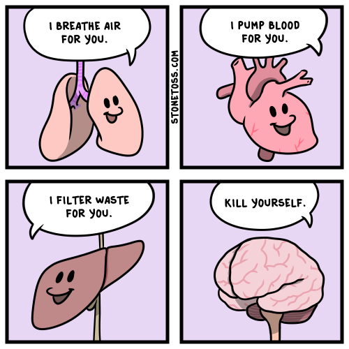 organs-and-brain-stonetoss-comic6b42b56b0377acd3.png