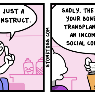 race-is-a-social-construct-stonetoss-comic5bcaad0624bd7724