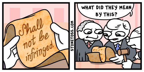 shall-not-be-infringed-stonetoss-comicb6b3657c0d5b19ab.png