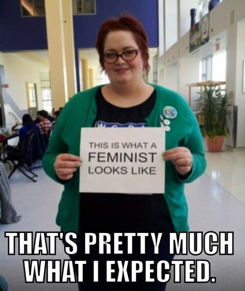 this-is-what-a-feminist-looks-like85eab97a2db04f1c.jpeg