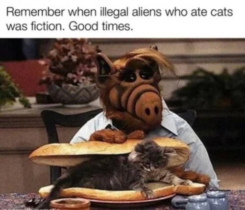 1000008530bb98ca53d7f452c9.jpeg