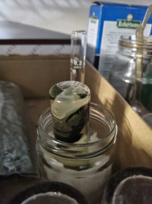 image_016c15250ca60dd28d7.jpeg