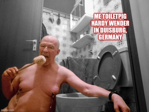 2025-02-24-Toiletpig3a6d108324a8bb08.jpg